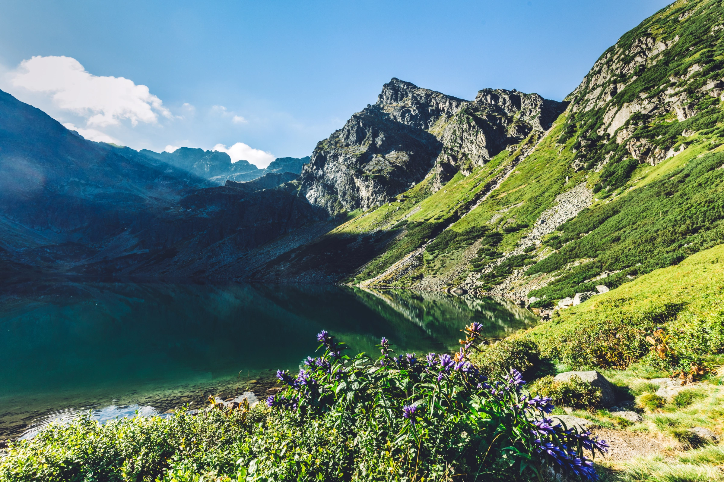 Tatra_Mountains[1].webp